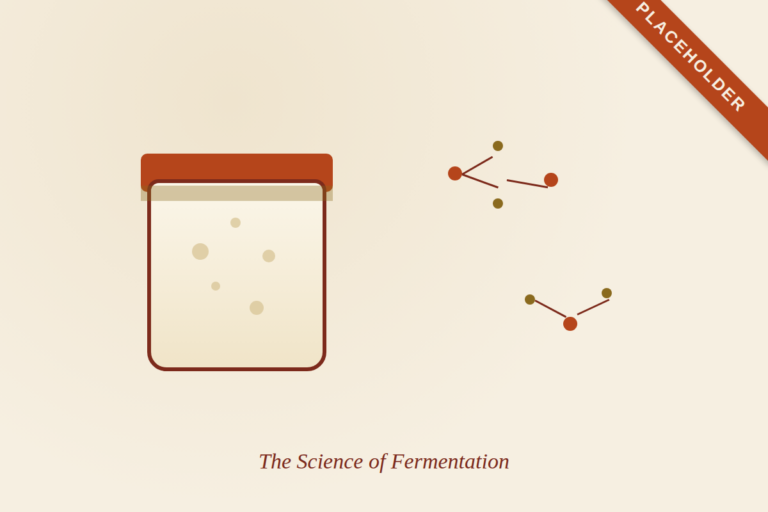 Placeholder illustration for the fermentation science article - to be replaced with a real photo