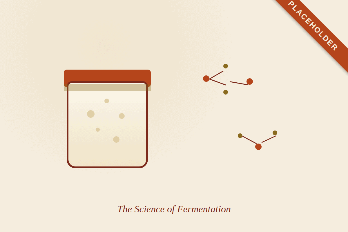 Placeholder illustration for the fermentation science article - to be replaced with a real photo